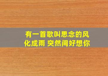 有一首歌叫思念的风化成雨 突然间好想你